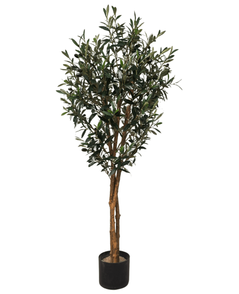 Greenmoods Kunstig Oliventre Slim  m/Oliven UV 120 cm