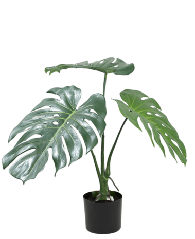 Greenmoods Kunstig Monstera Split 50 cm