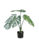 Greenmoods Kunstig Monstera Split 50 cm