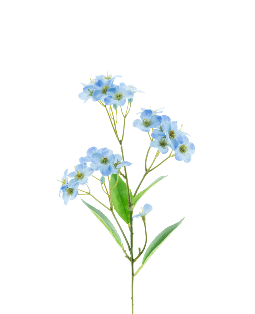 Greenmoods Kunstig Orkidé Real Touch Blå 50 cm