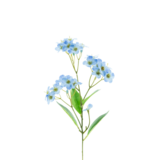 Greenmoods Kunstig Orkidé Real Touch Blå 50 cm