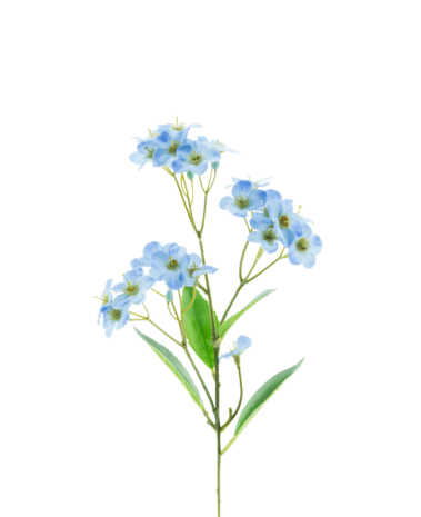 Greenmoods Kunstig Orkidé Real Touch Blå 50 cm