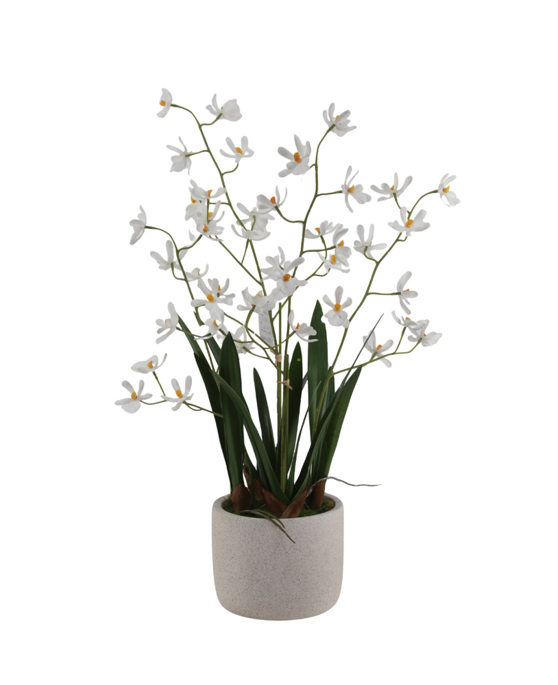 Greenmoods Kunstig Mini-Ascda Orkide Hvit 4 stilker 60cm