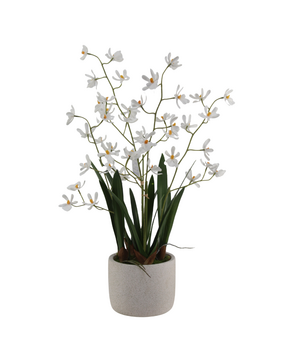 Greenmoods Kunstig Mini-Ascda Orkide Hvit 4 stilker 60cm