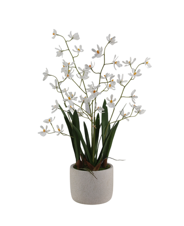 Greenmoods Kunstig Mini-Ascda Orkide Hvit 4 stilker 60cm