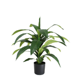 Greenmoods Kunstig Draceana Fragrans Plante 65 cm