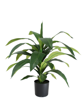 Greenmoods Kunstig Draceana Fragrans Plante 65 cm
