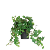 Greenmoods Kunstig Eføy Mini Grønn 22cm