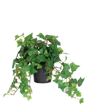 Greenmoods Kunstig Eføy Mini Grønn 22cm