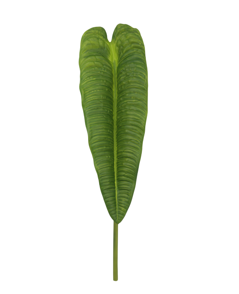 Greenmoods Kunstig Anthurium Veitchii Blad Grønn 86cm