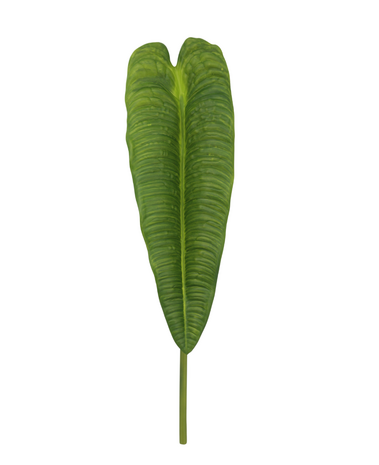 Greenmoods Kunstig Anthurium Veitchii Blad Grønn 86cm