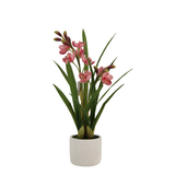 Greenmoods Kunstig Cymbidium Orkide Rosa 55cm