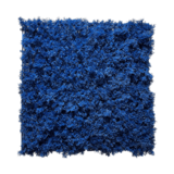 Greenmoods Kunstig Mosevegg Blå Brannsikker 50x50cm