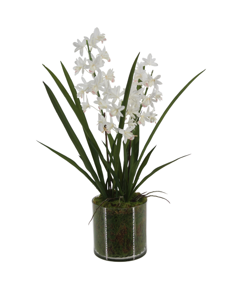 Greenmoods Kunstig Mini-Cymbidium Orkide Hvit Real Touch 60cm