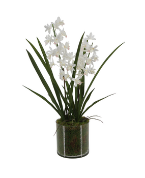 Greenmoods Kunstig Mini-Cymbidium Orkide Hvit Real Touch 60cm