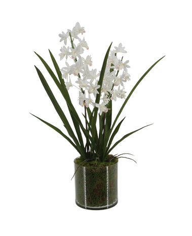 Greenmoods Kunstig Mini-Cymbidium Orkide Hvit Real Touch 60cm