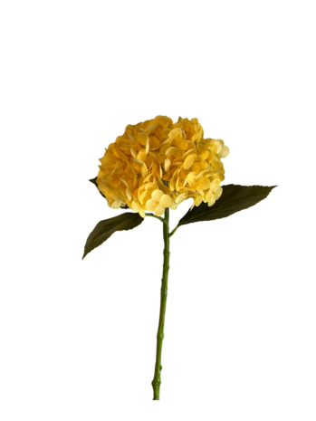 Greenmoods Kunstig Charlotte Hortensia Real Touch Gul 55 cm