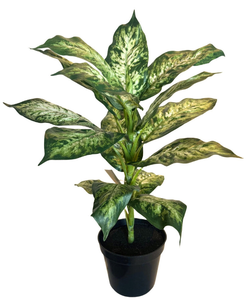 Greenmoods Kunstig Dieffenbachia Plante UV 40cm