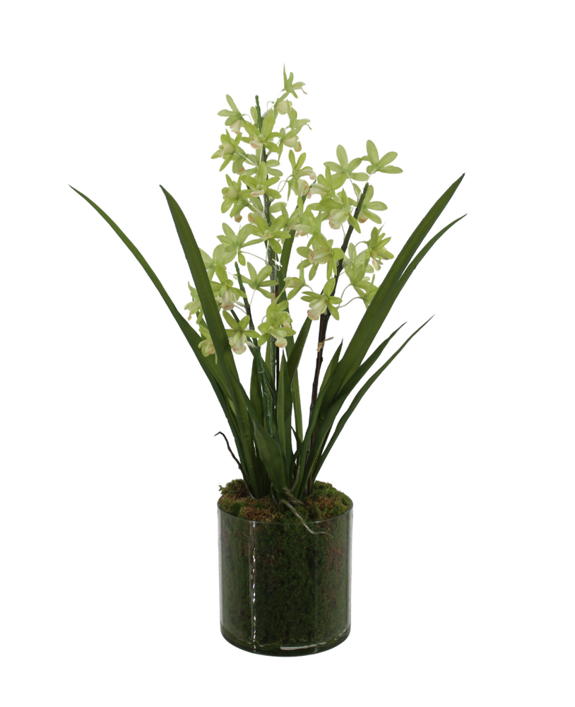 Greenmoods Kunstig Mini-Cymbidium Orkide Grønn Real Touch 60cm