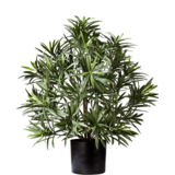 Greenmoods Kunstig Podocarpus i Potte Brannsikker 47cm