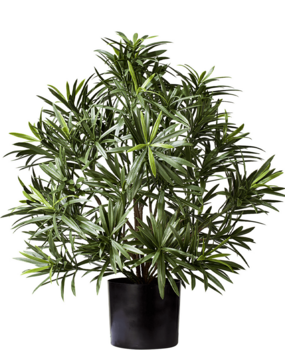 Greenmoods Kunstig Podocarpus i Potte Brannsikker 47cm