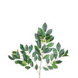 Greenmoods Kunstig Mini Fikus Gren 55cm