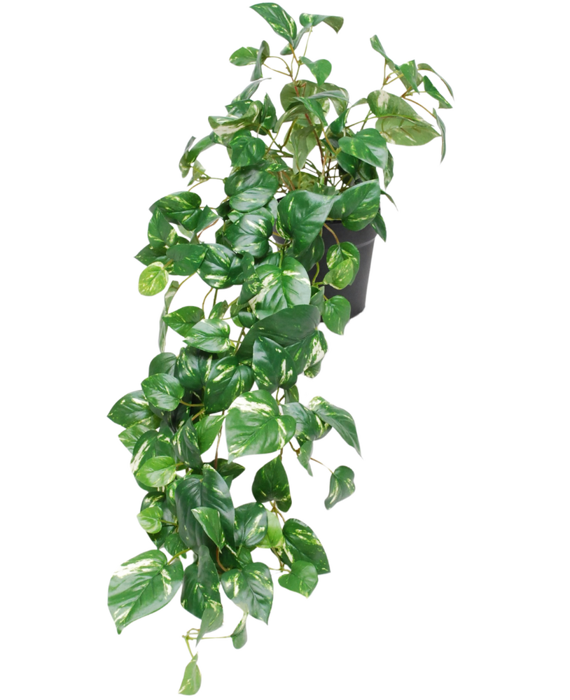 Greenmoods Kunstige Hengende Gullranke i Potte UV 80cm