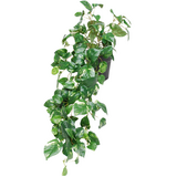 Greenmoods Kunstige Hengende Gullranke i Potte UV 80cm