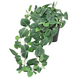 Greenmoods Kunstig Hengeplante Fittonia Grønnhvit i Potte UV 60cm