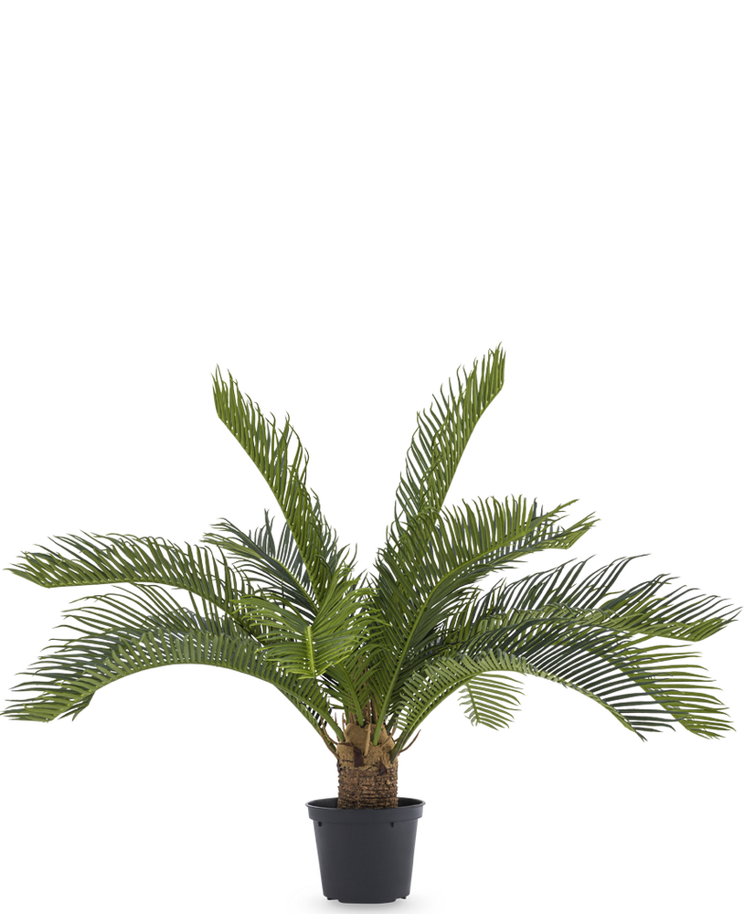 Greenmoods Kunstig Cycas Palme UV 50cm