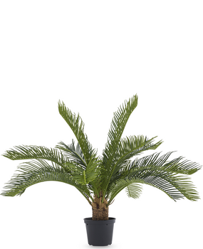 Greenmoods Kunstig Cycas Palme UV 50cm