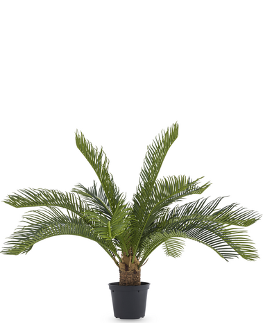 Greenmoods Kunstig Cycas Palme UV 50cm
