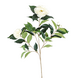Greenmoods Kunstig Camellia Gren Kremhvit 67cm