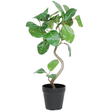 Greenmoods Kunstig Minitre Fikus Elastica  UV 42 cm