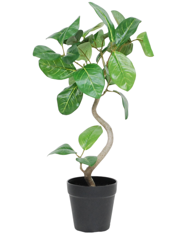 Greenmoods Kunstig Minitre Fikus Elastica  UV 42 cm