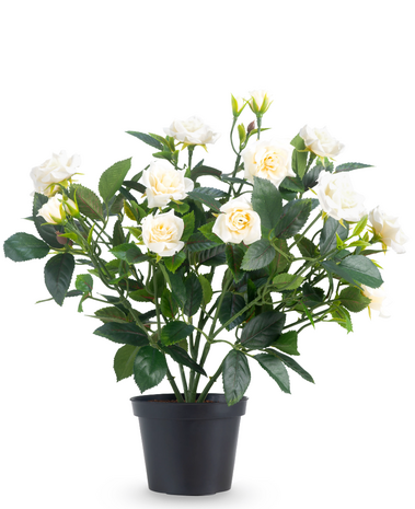 Greenmoods Kunstig Rosebusk i Potte Krem 35cm