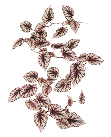 Greenmoods Kunstig Begonia Girlander UV 180cm