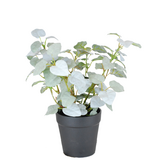 Greenmoods Kunstig Pumila "Silver" i Potte UV 25cm