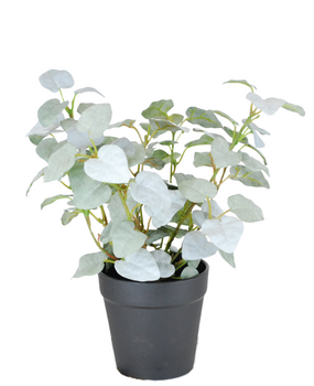 Greenmoods Kunstig Pumila "Silver" i Potte UV 25cm