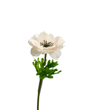 Greenmoods Kunstig Anemone Real Touch Rosa 52 cm