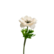 Greenmoods Kunstig Anemone Real Touch Rosa 52 cm