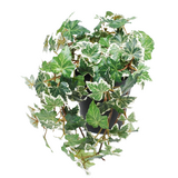 Greenmoods Kunstig Eføy Deluxe Grønnhvit UV i Potte 22cm