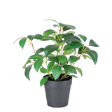 Greenmoods Kunstig Jasminplante i Potte UV 25cm