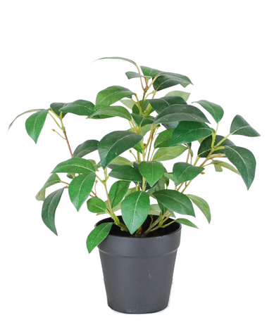 Greenmoods Kunstig Jasminplante i Potte UV 25cm