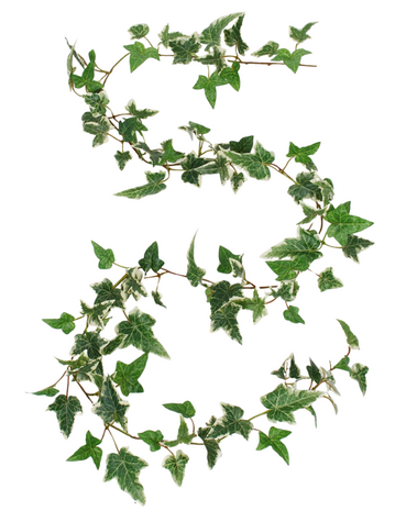 Greenmoods Kunstig Boston Eføy Girlander Grønnhvit UV 180cm