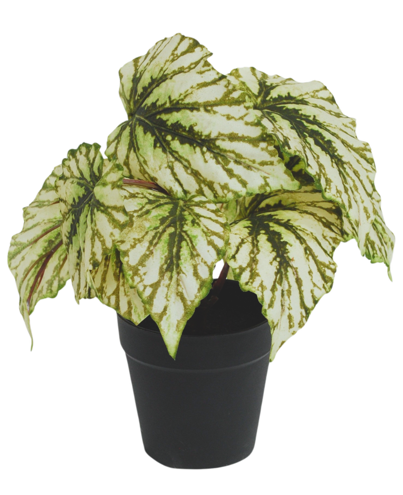 Greenmoods Kunstig Begonia i Potte Grønn UV 25cm