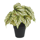 Greenmoods Kunstig Begonia i Potte Grønn UV 25cm