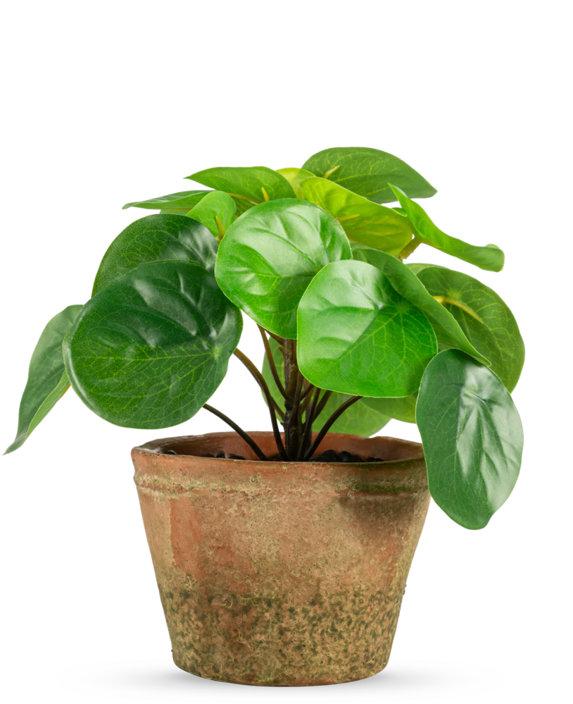 Greenmoods Kunstig Mini Pengeplante i Retropotte UV 15cm