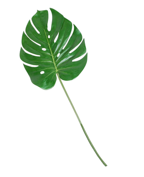 Greenmoods Kunstig Monstera Blad 60 cm
