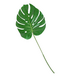 Greenmoods Kunstig Monstera Blad 60 cm